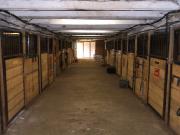 pension pour chevaux