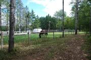 Pension pour Chevaux Écurie EL LEHNA