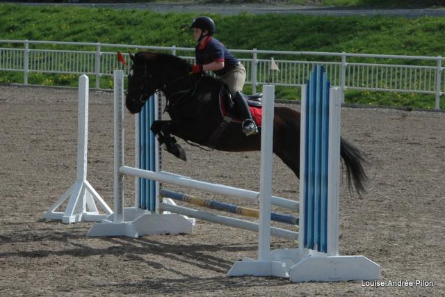 Magnifique Large Poney a Vendre : présentement aux JEQ 2012
