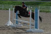 Magnifique Large Poney  a Vendre : présentement...