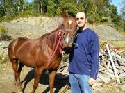 Belle et bonne jument QH à vendre