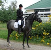 Fils de Champion USA Chasseur-Sauteur, Niveau 2...
