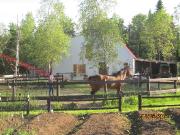 Pension pour chevaux 