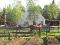 Pension pour chevaux 