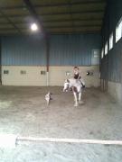 Cours d'équitation privés 20/h