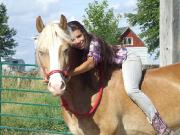 Demi pension sur jeune cheval