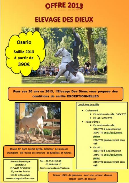 SAILLIE 2013 OSARIO PP RACE CREME à partir de 390€