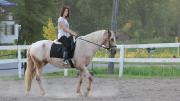 Superbe jument Appaloosa à vendre