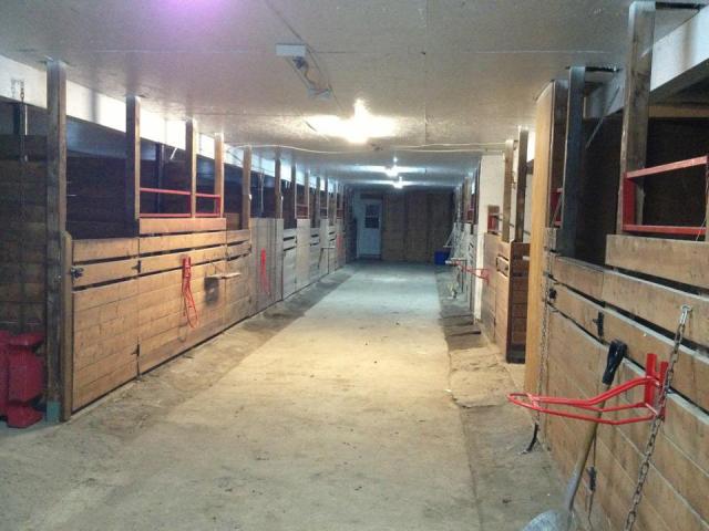 Pension pour chevaux en plein coeur de Québec !