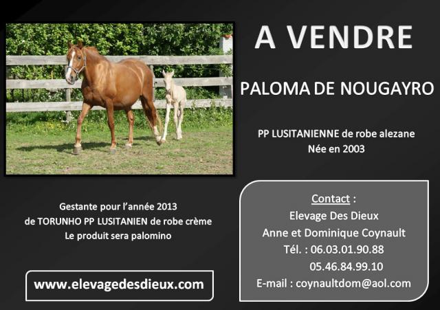 A vendre PALOMA DE NOUGAYRO PP LUSITANIENNE de robe alezane