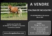 A vendre PALOMA DE NOUGAYRO PP LUSITANIENNE de...