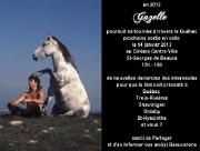Gazelle au Cinéma en Beauce