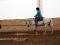 Cours d'équitation western en Mauricie