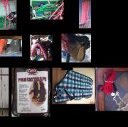 selle,couverture,polo,chambriere.. ... et autre