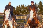 Paint  Horse et Quarter horse offert en...