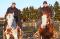 Paint  Horse et Quarter horse offert en...