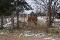 enclos en location avec le boxe
