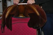  Selle de saut Arc de Triomphe
