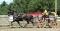 Cours et entrainement a l'attelage