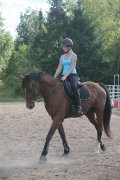 Warmblood abordable