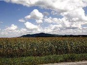 Fermette à vendre!