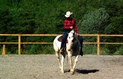 Ferme de la Batie Neuve une autre approche du cheval