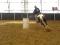 JUMENT PAINT TOBIANO ENRG