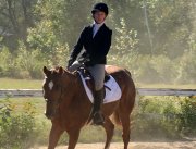 Gentil Quarter Horse cherche Demi-Pension