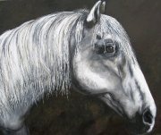 Geneviève Fréchette, artiste-peintre