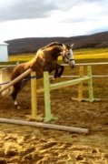 saut en liberté, été 2011