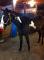 Poney Paint Horse 3 ans et demi