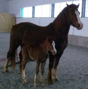 À 3 jours avec maman