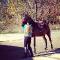 URGENT-- Jeune cheval exceptionnel, fait TOUT!