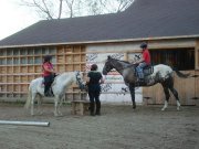 HONGRE APPALOOSA 15m3