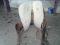 selle western en cuir bon etat - 180$