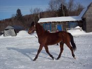 Morgan 4 ans