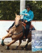 Entrainement de chevaux de barils ou poulains! 