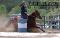 Entrainement de chevaux de barils ou poulains! 