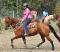 Entrainement de chevaux de barils ou poulains! 