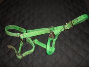 Équipement équestre!!! prix vraiment bas - licou vert