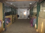 Pension privé.Écurie de 6 chevaux.Manège intérieur - box lumineux