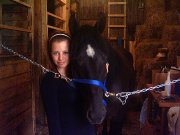 Hongre Canadien à Vendre ; Jument QH à Vendre