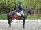 élève en dressage