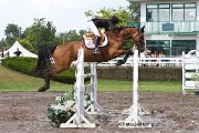 Jument Holsteiner par Contender à VENDRE/LOUER