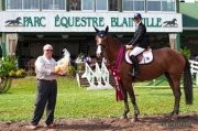 Jument Holsteiner par Contender à VENDRE/LOUER