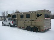 Transport de chevaux