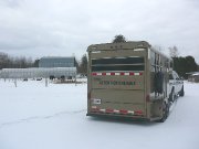 Transport de chevaux