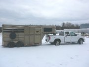Transport de chevaux