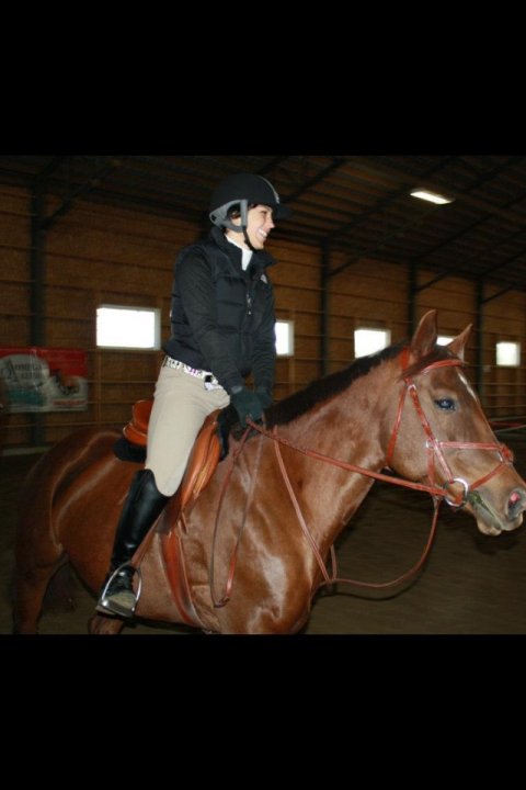 Equipements classique pour cavalier et cheval