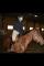 Equipements classique pour cavalier et cheval 
